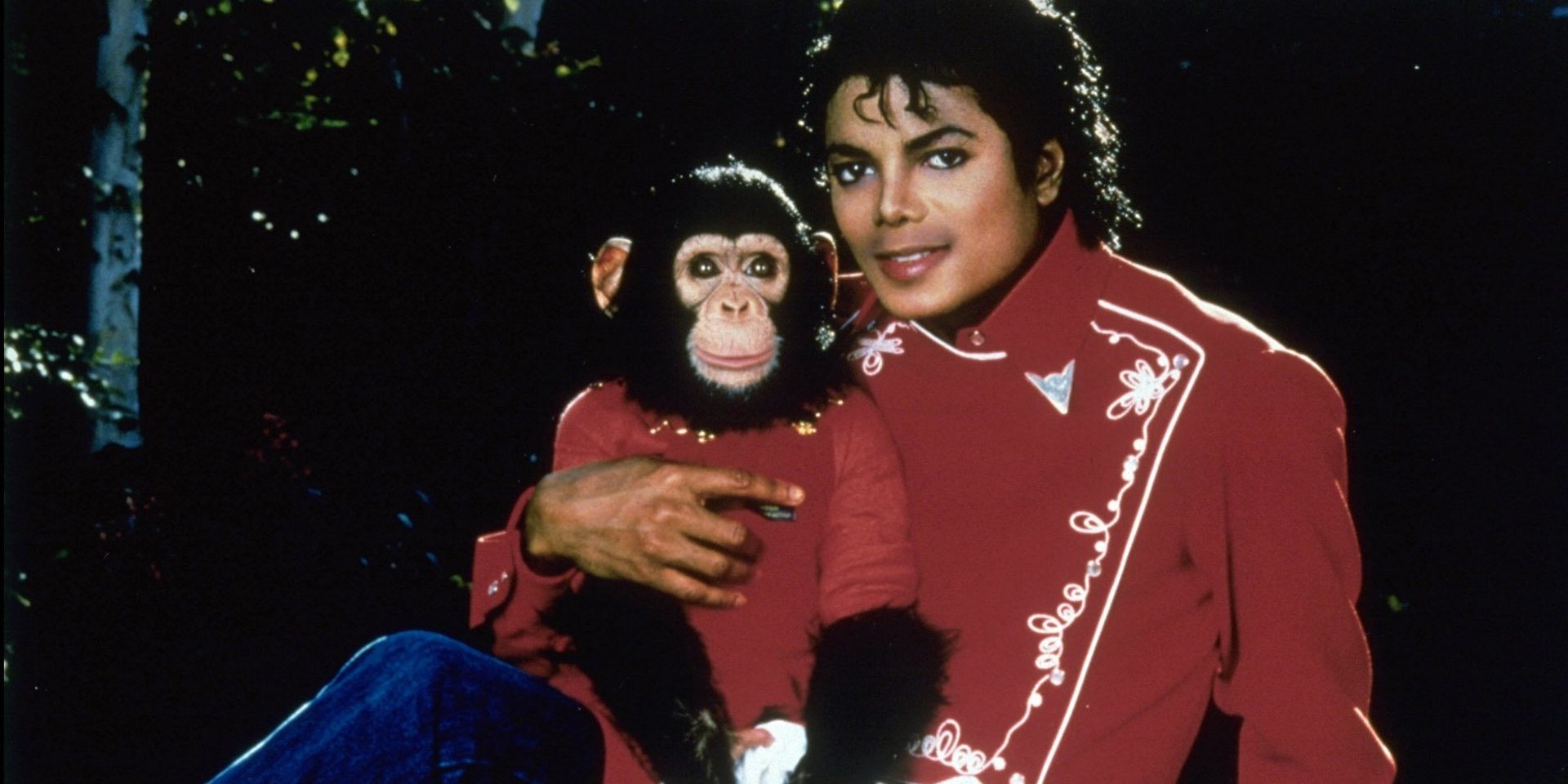 Una especialista acusa que Michael Jackson de haber atacado a Bubbles, su chimpancé